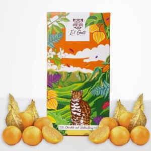 Chocolate and Golden Berry - 90g - 70% cacao